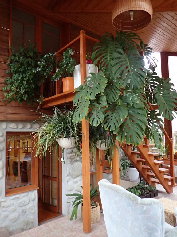 Family House - Apartmany Zuzana Stará Lesná Pokoj fotografie